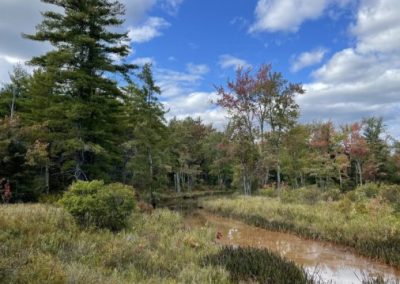 Bear Creek Watershed Plan – Environmental Assessment