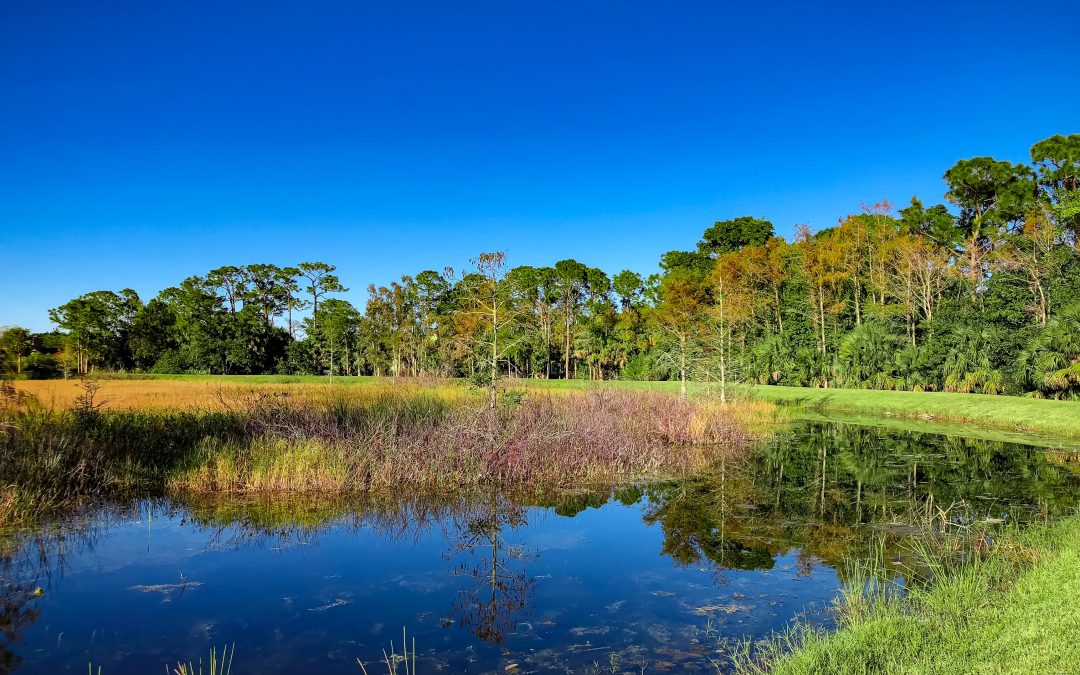Madison County Watershed-Based Stormwater Management Program