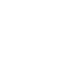Sewer & Storm Drain Icon