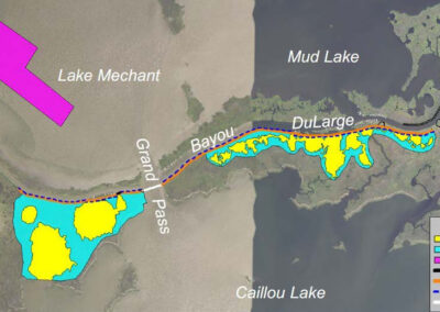 Bayou DuLarge Ridge Restoration and Marsh Creation
