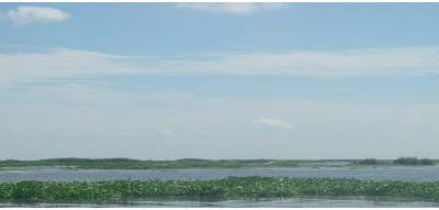Lost Lake Marsh Creation and Hydraulic Restoration