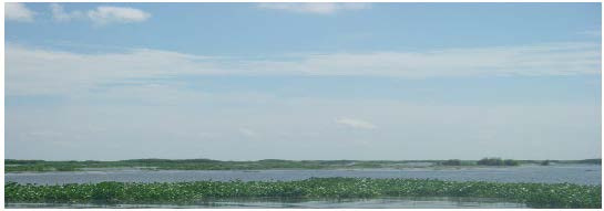 Lost Lake Marsh Creation and Hydraulic Restoration
