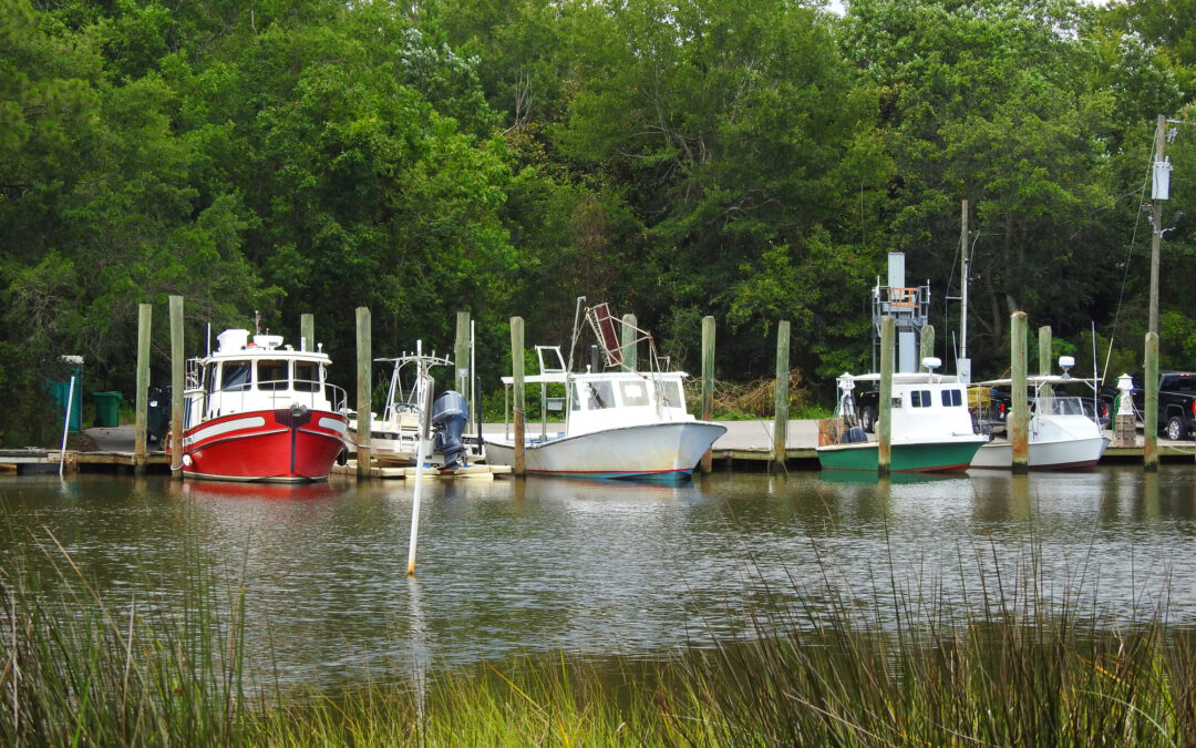 Comprehensive Stormwater Assessment and Action Plan