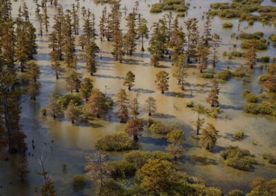 Priority Watershed Assessments