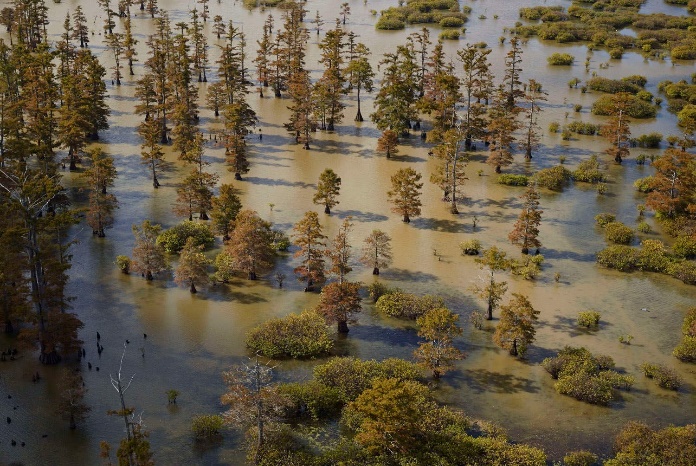 Priority Watershed Assessments