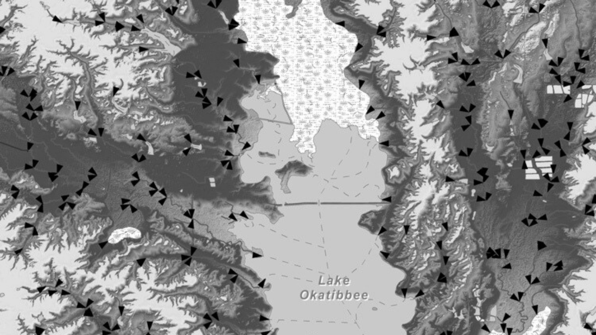 Waggoner - Mississippi Flood Map Modernization Initiative Map labeled “Lake Okatibbee” with multiple triangular markers representing flood mapping data.