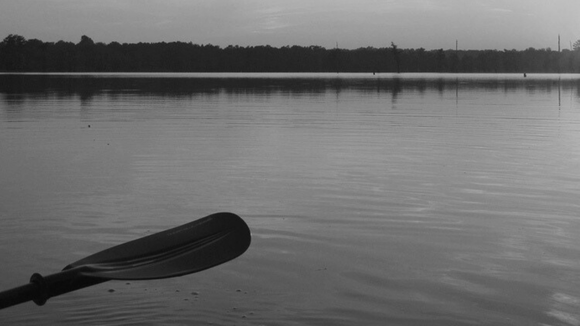 Waggoner - Sardis Lake Master Plan Scenic view of a calm lake shoreline with a paddle in the foreground.