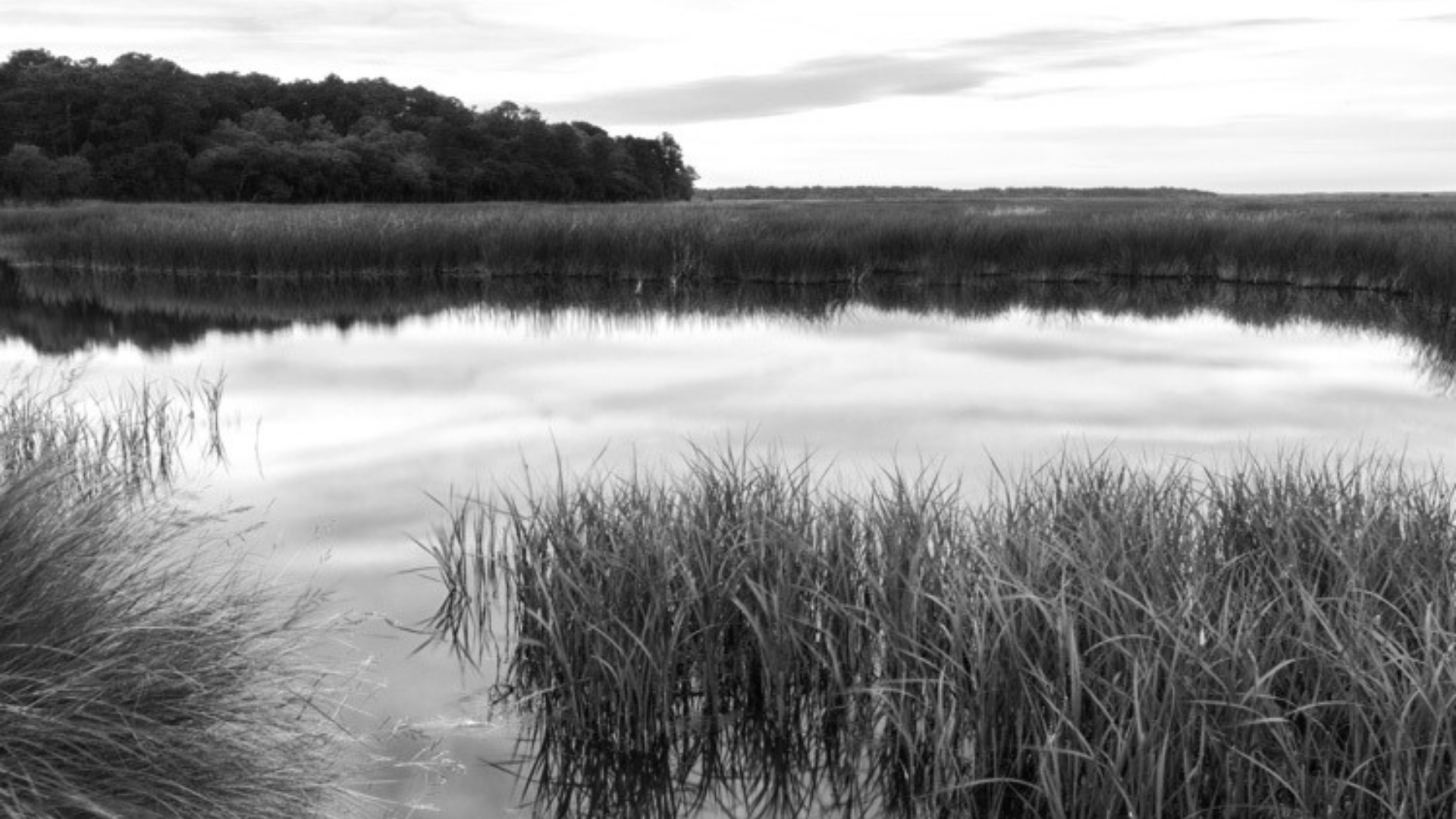 Waggoner - Statewide Water Management Plan Waggoner – Statewide Water Management Plan
